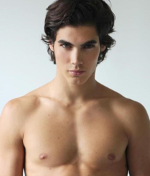 The Ineffability of Boy Beauty 5bed2e77187c4.png