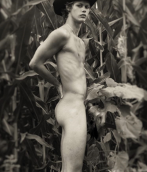 The Ineffability of Boy Beauty 5bed2f2206557.png