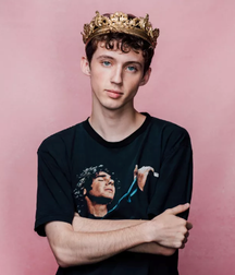 Troye Sivan : The Little Prince 5c2c710d90279.png