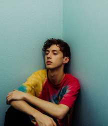 Troye Sivan : The Little Prince 5c2c7151db01e.png