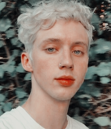 Troye Sivan : The Little Prince 5c2c727588c88.png