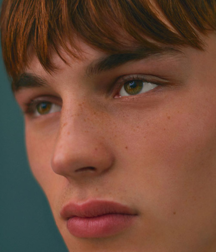 Bellissimo 5c3a16d936ff2.png