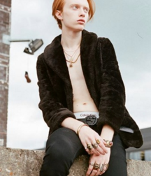 Bellissimo 5c3a172d1a7a1.png