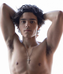 Bellissimo 5c3a17e76a983.png