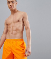 Boys in short 5d4080bc09b72.jpg