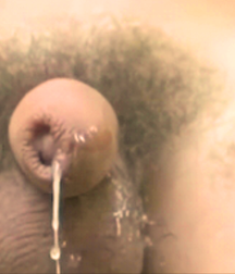 Boy Dicks in Pics 5e430465e7a98.png