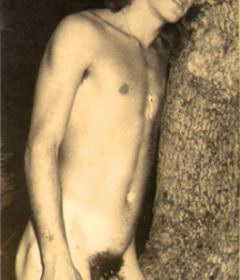 Tropism of Desire Boy Porn 5e4eb4a2bdd89.png