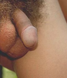 Tropism of Desire Boy Porn 5e4eb4f859439.jpg