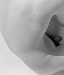 The Garden of Delights 5eabf94e04e75.jpg