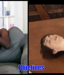 Bluelines  5c290908aeafd.gif