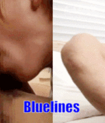 Bluelines  5c2909119afa2.gif