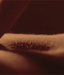 Bluelines  5c290983ef924.gif