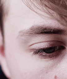 Bluelines 5cb39c4265891.gif