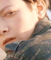 Bluelines 5cb58d405ad51.gif