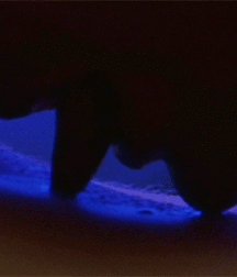 Bluelines 5cc51de963e32.gif