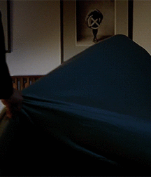 Bluelines 5ce289f690318.gif