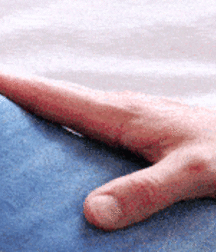Bluelines 5d022b0792f25.gif