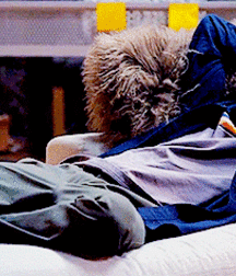 Bluelines 5d1395543eb7e.gif