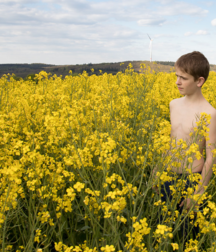 Bluelines 5d35493f858c1.png