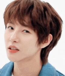 Bluelines 5d4fa91872510.gif