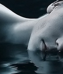 Bluelines 5d54d834581e5.jpg