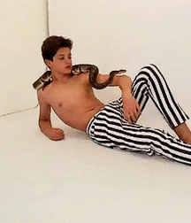 Bluelines 5d6691b03f7f9.gif