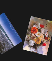 Bluelines 5d70e98de0009.jpg