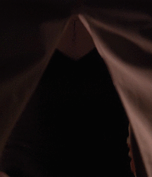 Bluelines 5d9ec689270d3.gif
