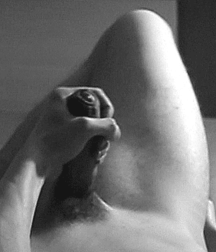 Bluelines 5da826aa63164.gif