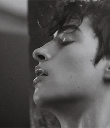 Bluelines 5dee374053a02.gif