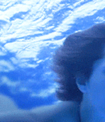 Bluelines 5df7fbc62cb5f.gif