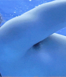 Bluelines 5df7fc2b622bd.gif