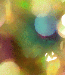 Bluelines 5dfdcd30d6809.gif
