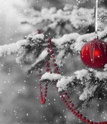 Bluelines 5dfdcf2a7c4ed.gif