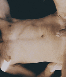 Bluelines Stunning Boys Porn Twink Best 5e022f24446b8.gif