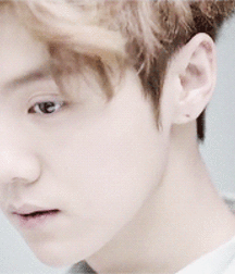 Bluelines Twink Tube 325 5e1738847e9d6.gif