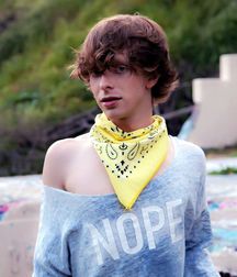  Bluelines Twink Tube 332 5e1dadedc59a4.jpg