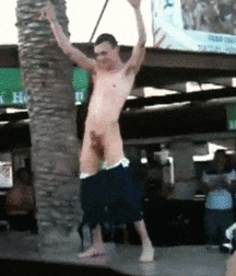  Bluelines Twink Tube 337 5e20a1d4510f7.gif