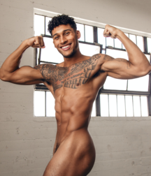 Bluelines Twink Tube 356 5e2c8f19e400e.png