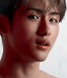  Bluelines Twink Tube 387 5e426c0370450.gif