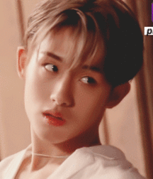  Bluelines Twink Tube 387 5e426c07ba70c.gif