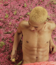  Bluelines Twink Tube 403 5e4ed24eb49c6.gif