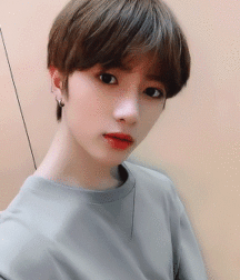  Bluelines Twink Tube 410 5e55213cbc55a.gif