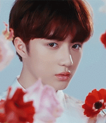  Bluelines Twink Tube 410 5e552144cc7c2.gif