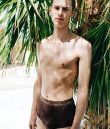  Bluelines Twink Tube 417 5e5ce902ee904.png