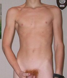  Bluelines Twink Tube 461 5e738eb3a3b08.jpg