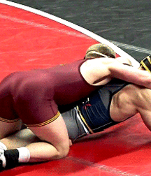 Bluelines Twink Tube 481 5e81835871cef.gif