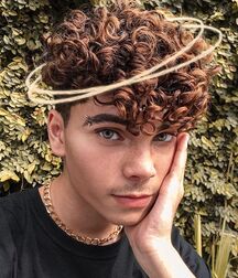  Bluelines Twink Tube 567 5eb42cac88a83.jpg