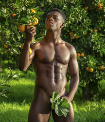  Bluelines Twink Tube 585 5eb98994097fa.jpg