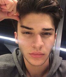  Bluelines Twink Tube 589 5eb98c6fa8c0c.jpg